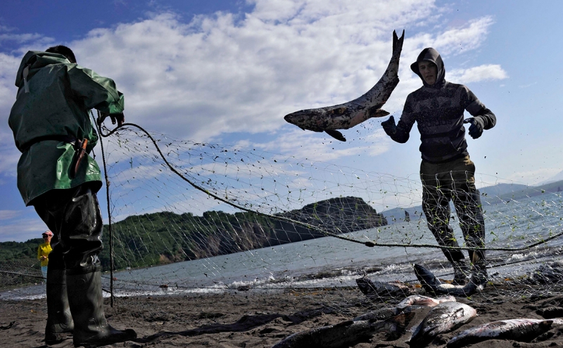 АФК «Система» заинтересовалась рыбалкой на Камчатке