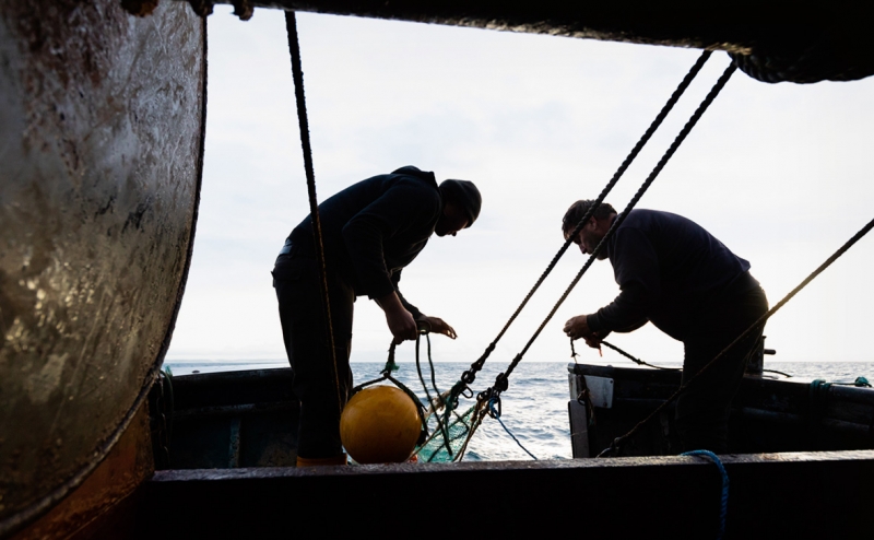 Рыбаки предупредили о возможных сбоях в добыче самой дешевой рыбы
