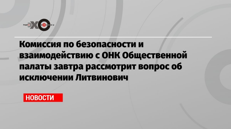 Комиссия по безопасности и взаимодействию с ОНК Общественной палаты завтра рассмотрит вопрос об исключении Литвинович 