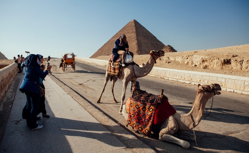 Туроператоры оценили сроки возобновления полетов в Египет