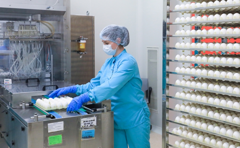 Данкверт заявил о полной зависимости России от импорта яиц для вакцин