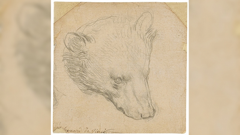 Набросок Леонардо да Винчи «Голова медведя» продан за $12,2 млн