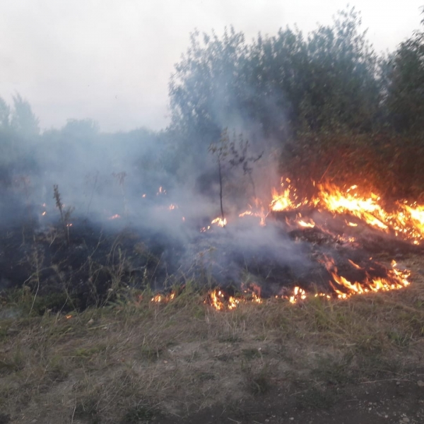 Площадь лесных пожаров в Башкирии вновь увеличилась до полутора тыс. га