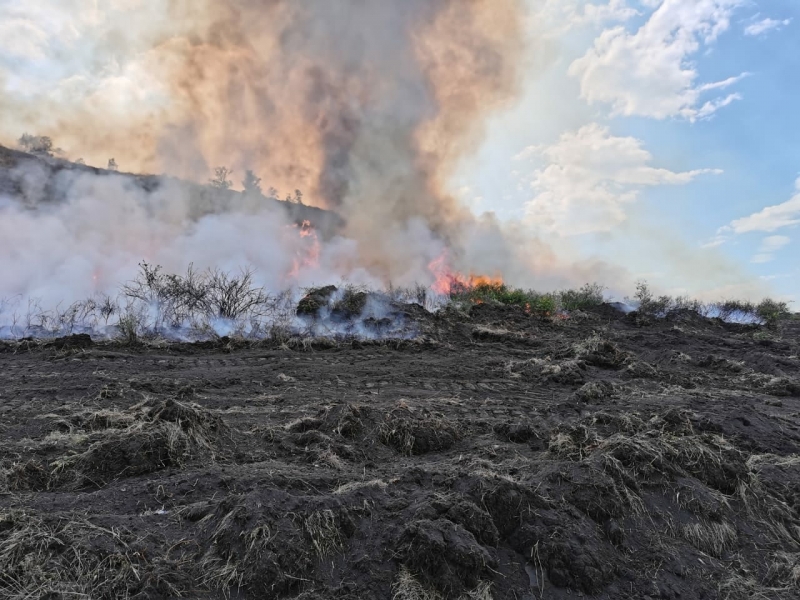 В Башкирии горит более двух тысяч гектаров леса