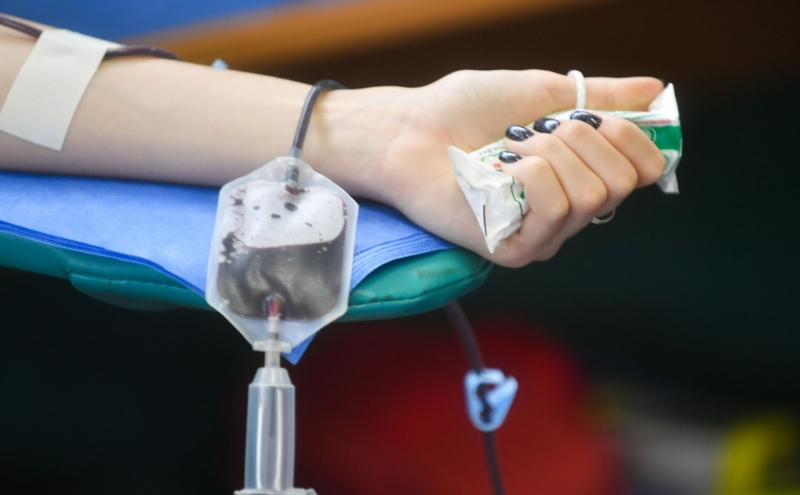 В ФМБА заявили о «тяжелой ситуации» с пополнением запасов донорской крови