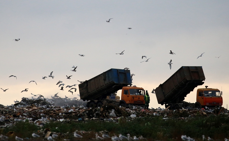 Абрамченко раскрыла сроки, когда в регионах пройдет мусорная реформа