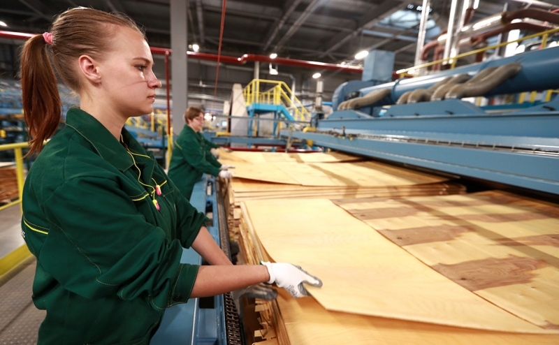 Владелец «Цветного» получит 13% в крупнейшем производителе древесины
