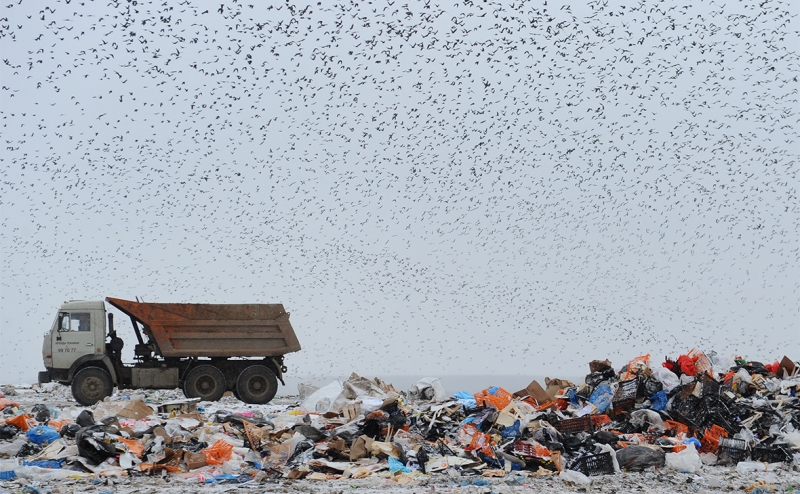 Куратор мусорной реформы вложит ₽1 млрд в проект Игоря Чайки