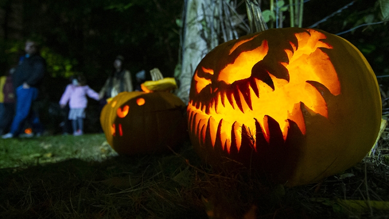 Культуролог раскрыла историю и значение праздника Хеллоуин