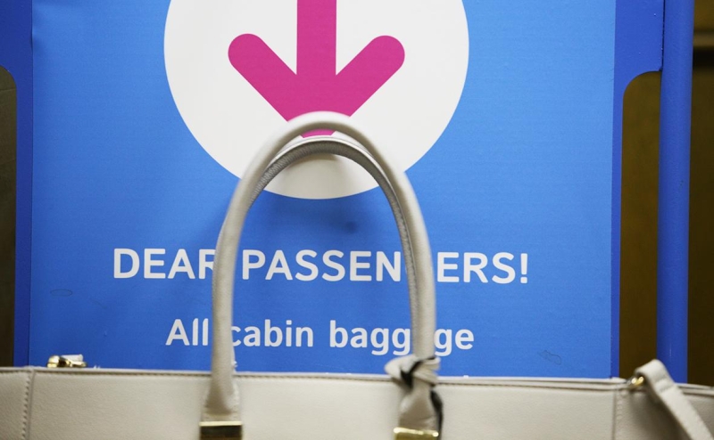 «Победа» исключит требования по габаритам дамских сумок